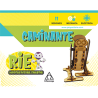 PROYECTOR RIE. Robótica Integral Educativa. Caminante