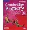 Primary Path Activity Book with Online Resources 6