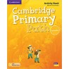 Primary Path Activity Book with Online Resources Foundation