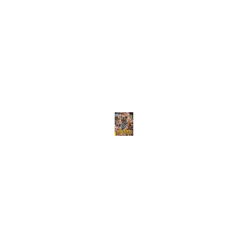 LOOKING FOR A TIGER Gold Band