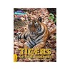 LOOKING FOR A TIGER Gold Band