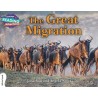 CRA - The Great Migration - White Band