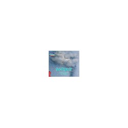 CRA - Seagull - Red Band