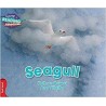 CRA - Seagull - Red Band
