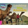 CRA - Looking After Animals - Pink B Band