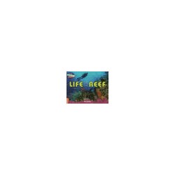 CRA - Life on the Reef - Orange Band