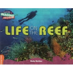 CRA - Life on the Reef - Orange Band